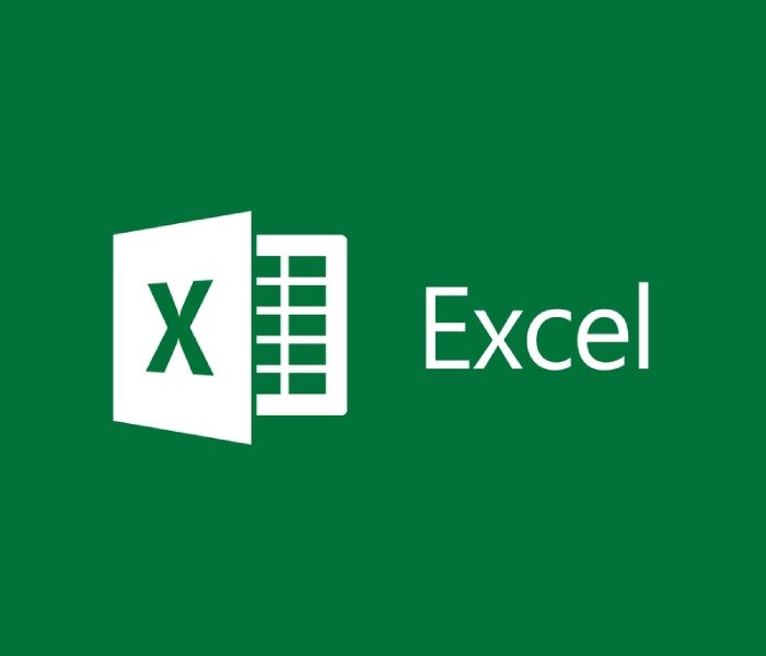 Ms Excel